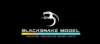 BlackSnake Model